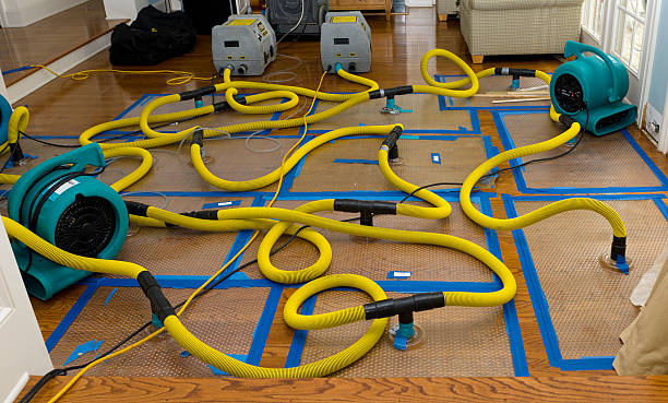 Professional Water Extraction technician working in Westwood, MI